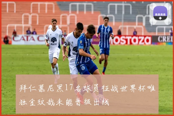拜仁慕尼黑17名球员征战世界杯唯独金玟哉未能晋级出线
