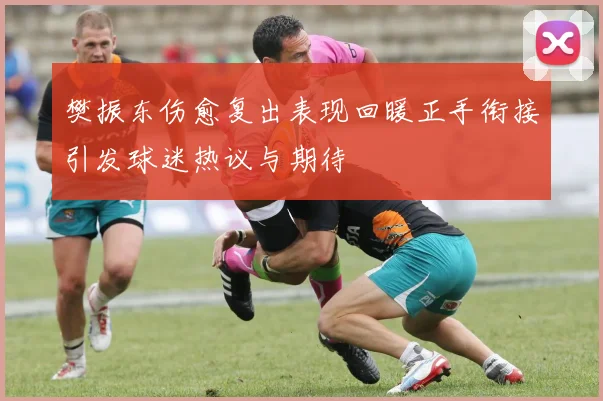 樊振东伤愈复出表现回暖正手衔接引发球迷热议与期待