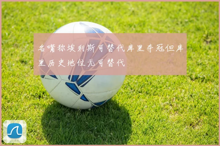 名嘴称埃利斯可替代库里夺冠但库里历史地位无可替代