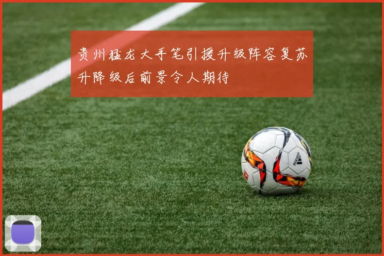贵州猛龙大手笔引援升级阵容复苏升降级后前景令人期待